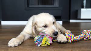 dog rope toys for good fun and clean teeth