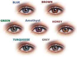 Eye Lens Colours In 2019 Best Colored Contacts Contact