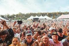 how-many-people-attend-falls-festival-lorne