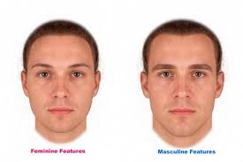 masculine faces not linked to hormones