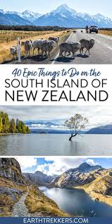 things to do on the south island