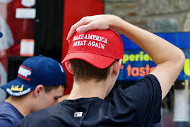 Tote bags, luggage tags, political buttons & hats, custom shoes 5 Reasons Why Maga Conservatism Has Never Made Any Sense The American Prospect