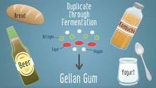 What does a gellan gum do for you?