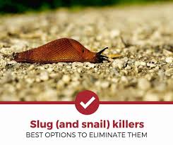 top 5 best slug and snail s
