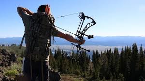 Elite Impulse Bow Review Bowhunting Com
