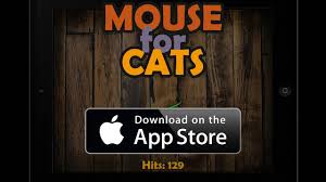 Get lazy cat and mouse for ios latest version. Cat Game Mouse For Cats Ipad Game For Cats Youtube
