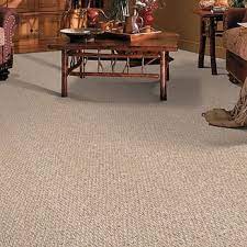 eco guys carpet and tile cleaners