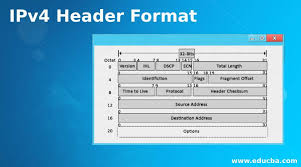 ipv4 header format learn components