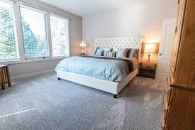 carpet cleaning auckland spruce