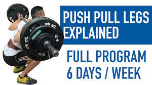 best push pull legs split for beginners