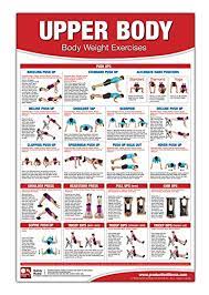 bodyweight training poster chart