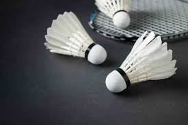 The frame of the racket can be made of common metals like steel or aluminium. Amazing Facts About Badminton Equipment 100 Best News
