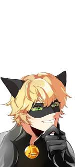 and chat noir hd wallpapers pxfuel