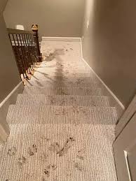 old stainmaster carpet