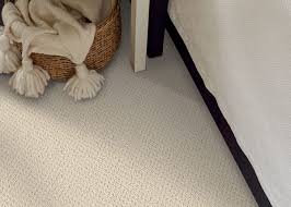 shaw newcastle nook egret loop carpet