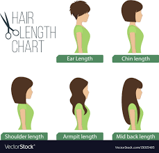 Hair Length Chart Side View