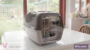putting your cat in a cat carrier you