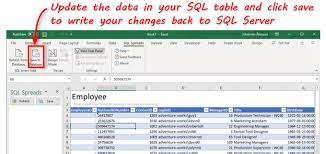 how to update a sql table from excel