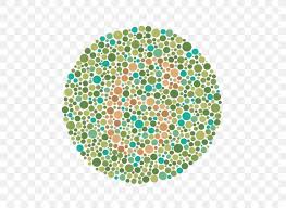 Ishihara Test Color Blindness Color Vision Eye Visual