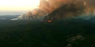Marmaris Amazon Bördübet'te orman yangını