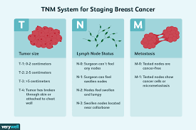 Breast Tumor Size And Staging