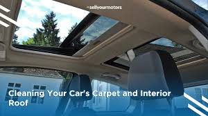 clean car carpet and car interior roof