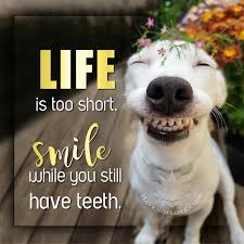 Image result for SMILE WHILE you still have teeth