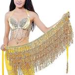 Women's Belly Dance Hip Scarf Performance Outfits...
