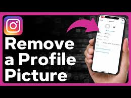 remove your insram profile picture