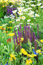 24 perennial planting combinations that