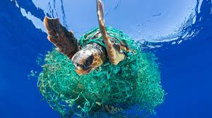 Great Pacific Garbage Patch Weighs More Than 43 000 Cars And