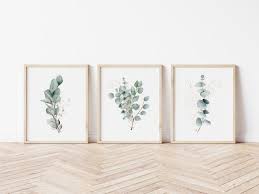 Digital Copy Eucalyptus Plant Art Set