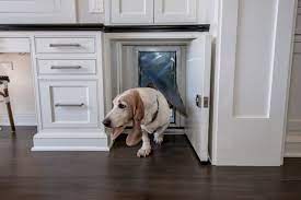 Hey Djangles Dog Houses Dog Door