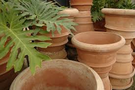 planters pots eye of the day garden