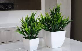 best artificial plants to add some