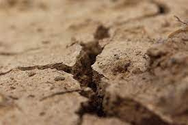 profile professional clay soil