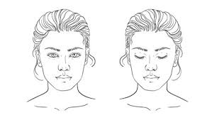 face chart makeup artist drawing vector