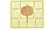 Paternal Family Tree Chart With 134 Spaces To Fill About