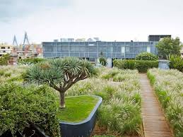 Rooftop Gardens Taking Green Spaces To