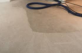 eureka pacific carpet cleaning yuba