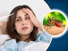 Platelet Count Decreases In Dengue Read Full Details | Dengue Fever: डेंगू  में प्लेटलेट्स क्यों गिर जाती हैं? क्या ऐसा करें कि इन्हें चढ़ाने की नौबत न  आए