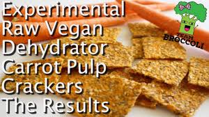 Ep 390 Experimental Raw Carrot Pulp Dehydrator Crackers The Result