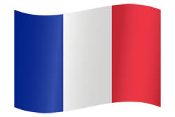 All images and logos are crafted with great workmanship. France Flag Icon Country Flags