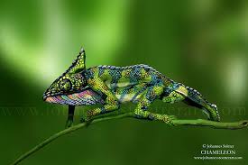 Chameleon Is Actually Two Painted Women