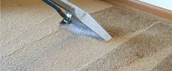 carpet cleaning taylor steamer llc