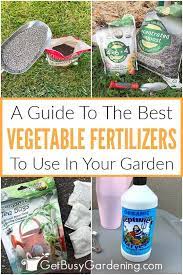 Best Fertilizer For Your Vegetable Garden