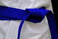 1,020 Taekwondo Blue Belt Stock Photos, Pictures & Royalty-Free ...