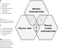 male ual dysfunction and pelvic pain