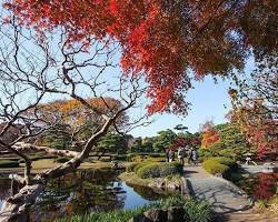 Image of Imperial Palace East Garden, Tokyo