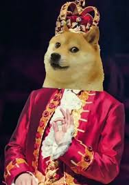 I am the doge king welcome to my channel i'm a gaming channel i mostly. King Doge Hamilton Amino